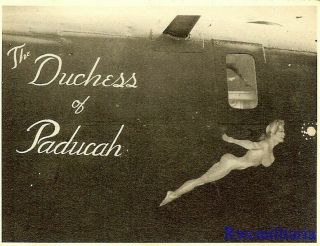 Org.  Nose Art Photo: B - 24 Bomber " The Duchess Of Paducah "