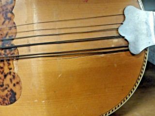 Vintage Instrument 1893 Washburn Mandolin Chicago Exposition - For Repair 2