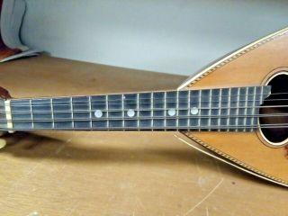 Vintage Instrument 1893 Washburn Mandolin Chicago Exposition - For Repair 5