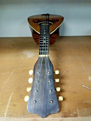 Vintage Instrument 1893 Washburn Mandolin Chicago Exposition - For Repair 7