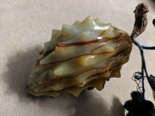 Vintage Chinese Carved Jade Agate Dragon Fruit dragonfruit tree leaves 354g 4