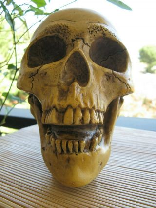 Vintage Randotti Laughing Skull Marked 847 Randotti & Still Glows In The Dark