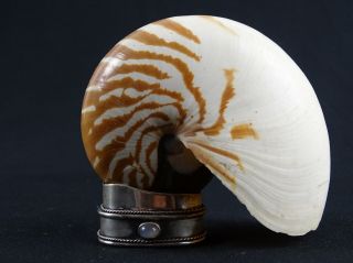 Vintage Sea Shell On Sterling Slilver Mount (45g) Moonstone Cabochon