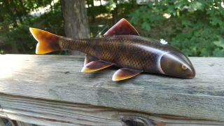 Sucker Fish Decoy Carved By The Champion Eric Wallace - 3rd Place Spearing Lure