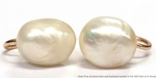 14k Yellow Gold Rare Natural Mississippi River Pearl Cool Vintage Earrings