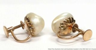 14K Yellow Gold Rare Natural Mississippi River Pearl Cool Vintage Earrings 5