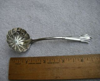 Fine English Sterling Albany Pattern Small Sugar Sifter - George M Jackson 1892 - 3