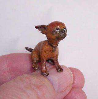 Tiny Vintage Cold Painted Bronze Miniature Chihuahua Dog Figure Austrian