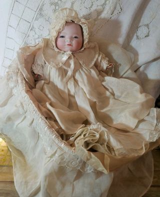 Antique Vintage 13 " Grace S Putnam Bye Lo Baby Doll German Bisque In Basket Bed