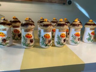 Merry Mushroom Sears and Roebuck Spice Shakers Set of 12 Vintage MCM KITSCH 2