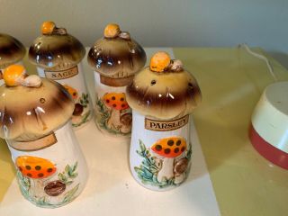 Merry Mushroom Sears and Roebuck Spice Shakers Set of 12 Vintage MCM KITSCH 6