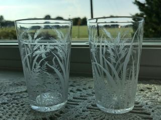 Antique Set Of 2 Etched 3.  5 " Glass Cup Tumbler Bee Fly Wheat Grass Bug Vintage