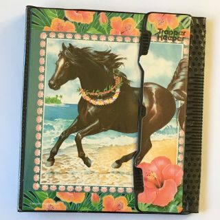 Vintage Mead Trapper Keeper 29096 Horse On Beach Portfolio Notebook & 2 Folders