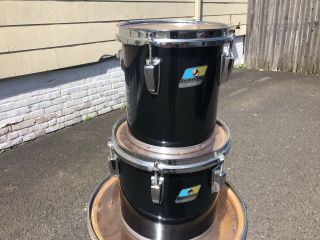 Vintage Ludwig 6 Ply Maple Black Cortex 8,  10 Concert Toms