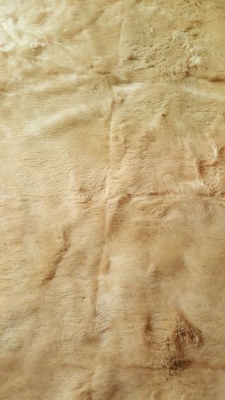 Real Soft Tan Fur Throw Rug/ Blanket Skin 54 