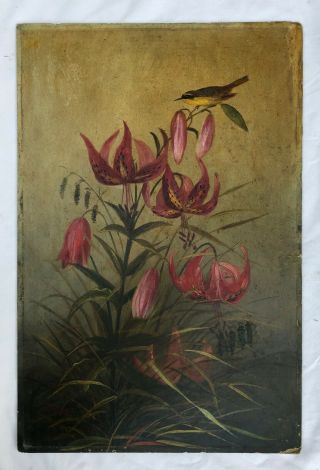 Warbler Bird Lilies Nature Antique Vintage Late 19th C.  Oil Painting On Board