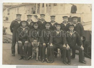 Wwii Japanese Photo: Navy Officers And Sailors,  Navy Dog