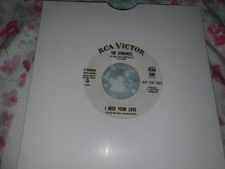 Rare Northern Soul - The Dynamics - I Need Your Love Rca Victor Demo Ex,