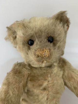 1950’s Rare Vintage Kramer Teddy Bear 2