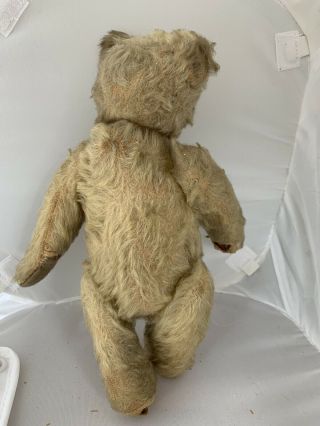 1950’s Rare Vintage Kramer Teddy Bear 5