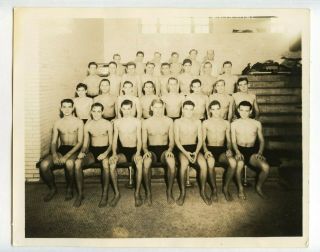 4 Vintage Photo Group Swimsuit Boys Men Male Swim Team Autographs Snapshot