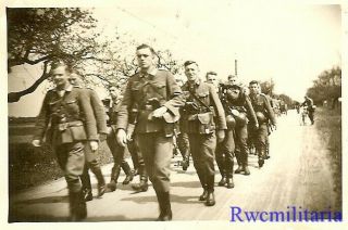 Move West Wehrmacht Combat Infantry Truppe Moving Down Road To The Front