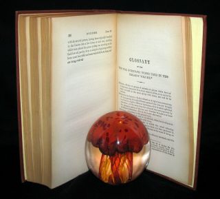 1895 Rare Book - CHARLES DARWIN ORIGIN OF SPECIES - Natural Selection 2 Vols in1 11
