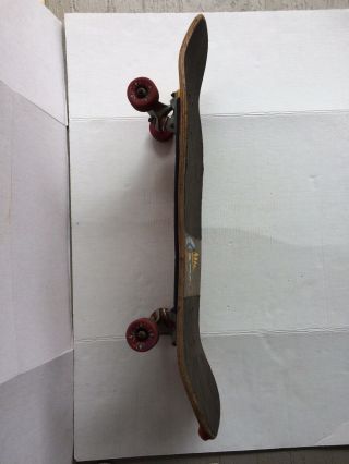 Vintage Tony Hawk Powell Peralta Skateboard 6