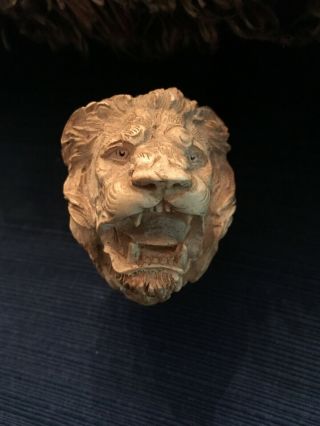Vintage Lion ' s Head Meerschuam Pipe and Case - Early 1900s 3