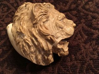 Vintage Lion ' s Head Meerschuam Pipe and Case - Early 1900s 4