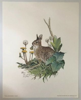 Vintage Ned Smith Nature’s Series Rabbit Print Hand Signed & Numbered 2203/2500