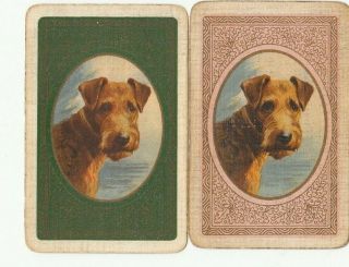 2 Playing Swap Cards - Dogs - Airedale Terrier In Oval Rare Vintage