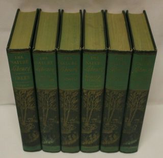 THE NATURE LIBRARY Doubleday Vintage 6 Book Set Illustrated 1926 Natural History 2