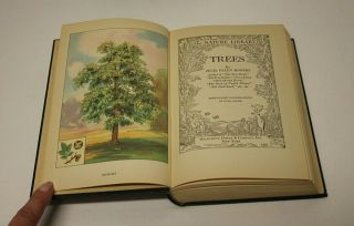 THE NATURE LIBRARY Doubleday Vintage 6 Book Set Illustrated 1926 Natural History 7