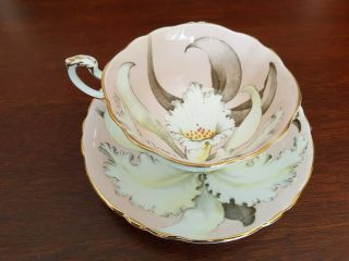 And Rare Paragon Orchid Pink Teacup And Saucer