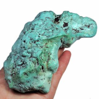 1598.  1ct 100 Natural Untreated Sleeping Beauty Turquois Rough Specimen Mytg35