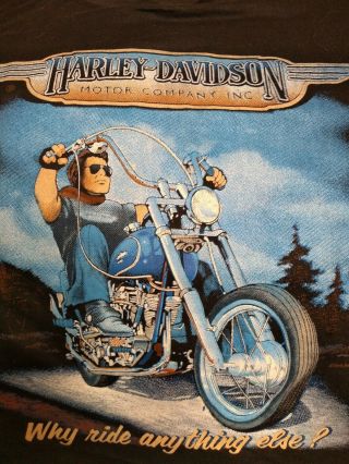 Vtg 80s 3d Emblem Harley Davidson Why Ride Anything Else T - Shirt,  Adult Small