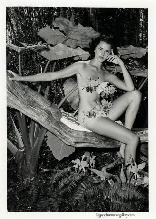Vintage Bunny Yeager Joan Rawlings Forest Nymph Outdoors Pin - Up Photograph