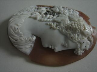 Victorian Large Cameo Unmounted Italy 19th Century Bacchanalian