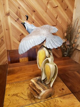 California quail wood carving game bird wildlife decor duck decoy Casey Edwards 10