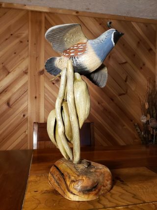 California quail wood carving game bird wildlife decor duck decoy Casey Edwards 5