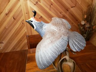California quail wood carving game bird wildlife decor duck decoy Casey Edwards 7