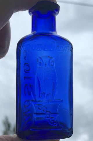 Antique OWL DRUG Co COBALT Blue 3 1/4” Glass POISON Bottle Rare Vintage Embossed 6