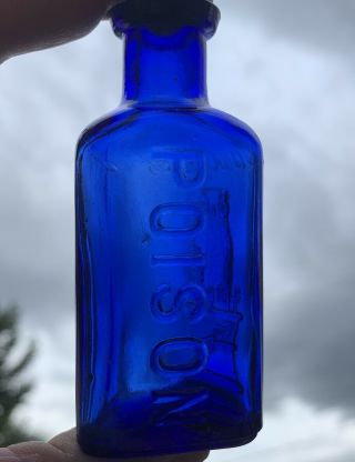 Antique OWL DRUG Co COBALT Blue 3 1/4” Glass POISON Bottle Rare Vintage Embossed 8