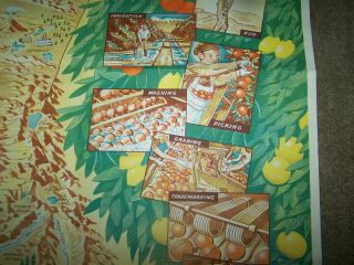 Artist Sgnd.  Large Vintage California Fruit Growers Exchange Map from 1940 3