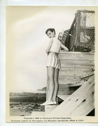 T525 Vintage Paramount Movie Actor Photo Audrey Hepburn Breakfast At Tiffany 