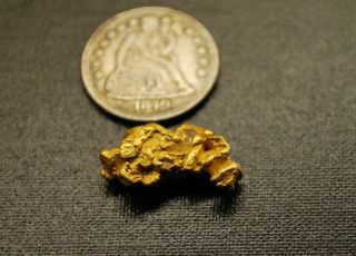 Large 4.  41 G.  Rare Gold Nugget Historic Elk Creek Montana.  Natural Hand Dug 17mm