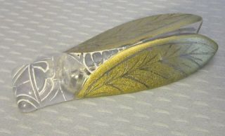 Vtg French Carved Painted Clear Lucite Cicada Pin Large 2.  75 " Gold Etched Wings