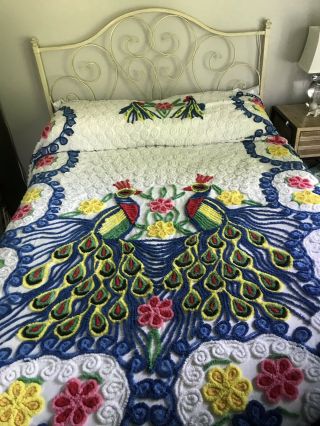 Vintage 1930’s Handmade Chenille Peacock Bedspread.  Full Size