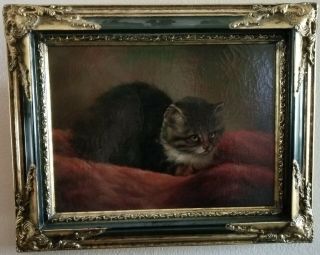 Vintage Framed Oil On Canvas Of A Cat